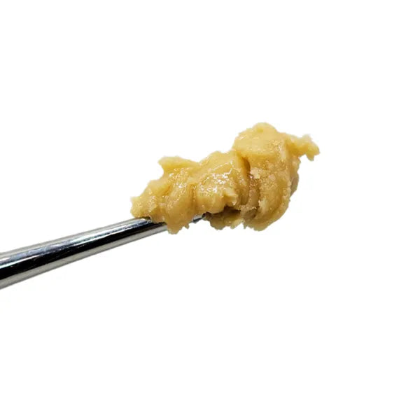 Hemp Living - PRESTIGE Dab Disposable - 0.5g THCA Pure Live Hash Rosin - Lemon Berry